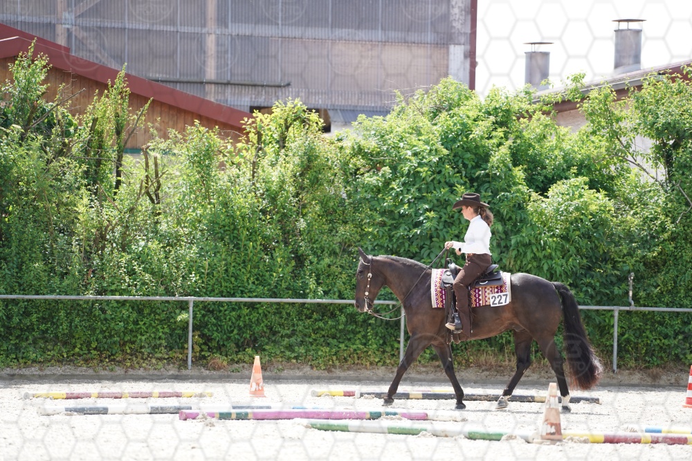 s_A9_06203.jpg